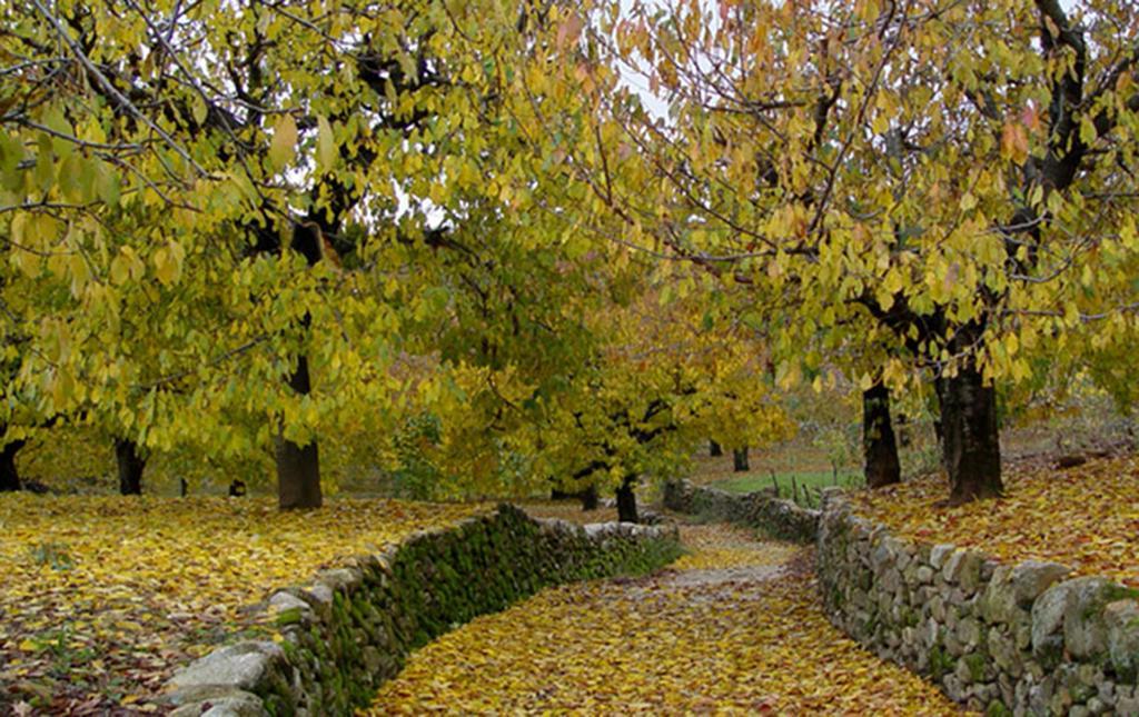 Apartamentos Valle Del Jerte El Huerto Del Cura Cabezuela Del Valle Kültér fotó